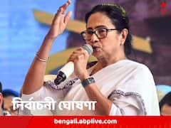 পঞ্চায়েত নির্বাচনের প্রস্তুতি শুরু, নিজে প্রার্থী বাছাই করবেন, ঘোষণা মমতার