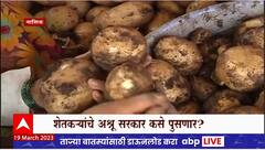 Nashik Farmer : अवकाळी पावसामुळे नाशिकमधील शेतकऱ्याचा 20 एकरवरील बटाटा सडला, महिलेला अश्रू अनावर