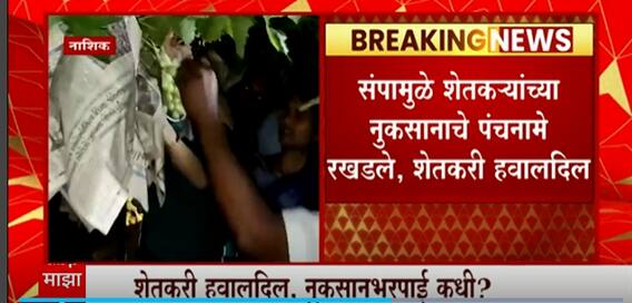 Nashik Rain Crop : नाशिक जिल्ह्यात अवकाळीमुळे 2,598 हेक्टरवरील शेतीचं नुकसान