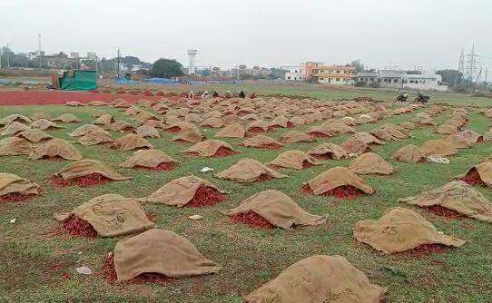 व्यापाऱ्यांच्या झालेल्या नुकसानीचेही पंचनामे करुन भरपाई त्यांना द्यावी अशी मागणी नंदुरबार जिल्हा मिरची व्यापारी असोसिएशनच्या वतीने करण्यात आली आहे.