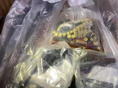 बीकानेर पुलिस की बड़ी कार्रवाई, हथियार सहित पकड़े गए आनंदपाल और रोहित गोदारा के गुर्गे