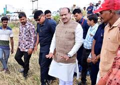 लोकसभा अध्यक्ष ओम बिरला ने खेतों में जाकर लिया खराब फसलों का जायजा, कहा- सरकार जल्द दे मुआवजा