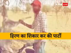 शिकारियों ने हिरण मारकर पार्टी की, सोशल मीडिया पर वीडियो वायरल, बिश्रोई समाज ने की यह मांग