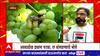 Nashik Grapes : अवकाळी द्राक्षांना फटका, रद्दी पेपरपेक्षाही द्राक्षांना कवडीमोल भाव : ABP Majha