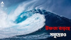 সমুদ্রের তলদেশেও 'গ্লোবাল ওয়ার্মিং'? রেকর্ড হারে তাপমাত্রা বৃদ্ধিতে নতুন বিপদসঙ্কেত!