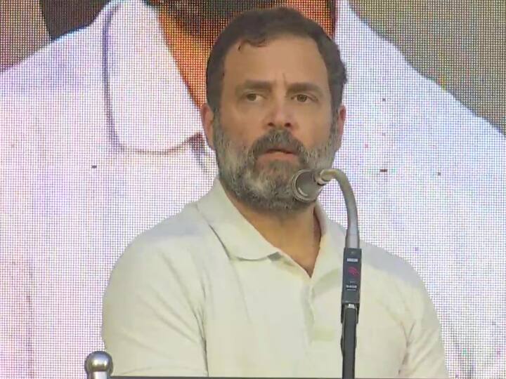 Rahul Gandhi On BJP RSS and PM Narendra Modi is not whole India Rahul Gandhi Speech: 'पीएम मोदी का मतलब देश नहीं है, उन्हें गलतफहमी है कि...', बोले राहुल गांधी
