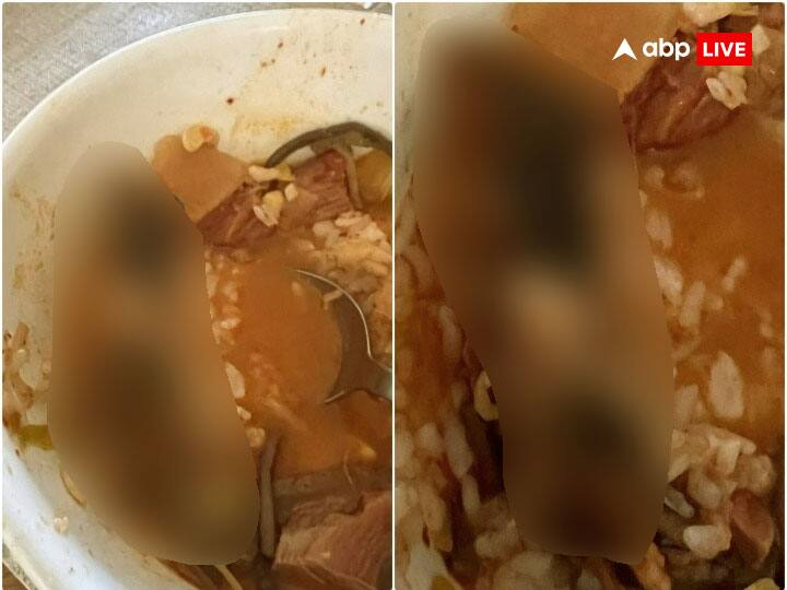 dead rat is seen inside a soup served inside a restaurant Video goes viral Video: रेस्टोरेंट में महिला के सूप में परोसा गया मरा हुआ चूहा, दिल दहला देगी वीडियो