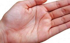 Hasta Rekha: હથેળીની આ રેખામાં છુયાપેલું હોય છે સરકારી નોકરીનું રહસ્ય