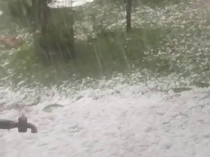 वहीं मौसम विभाग लगातार अपडेट देकर अलर्ट जारी कर रहा है. लेकिन इसके बावजूद ओलावृष्टि से फसलों को बचाया नहीं जा सका. फिलहाल अभी कहा जा रहा है कि आने वाले दिनों में बारिश और तेज हो सकती है और ऐसे में किसानों को बड़ा नुकसान हो सकता है.