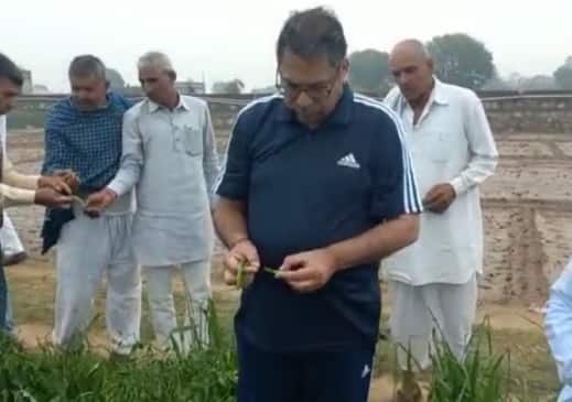 Jaipur BJP Leader Satish Poonia inspected spoiled crops in Amer farm compensation for farmers ann Rajasthan: फसलों पर बरपे बारिश के कहर से किसानों में उदासी, सतीश पूनिया ने सरकार से की मुआवजे की मांग