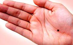 Hasta Rekha: હથેળીની આ રેખામાં છુયાપેલું હોય છે સરકારી નોકરીનું રહસ્ય