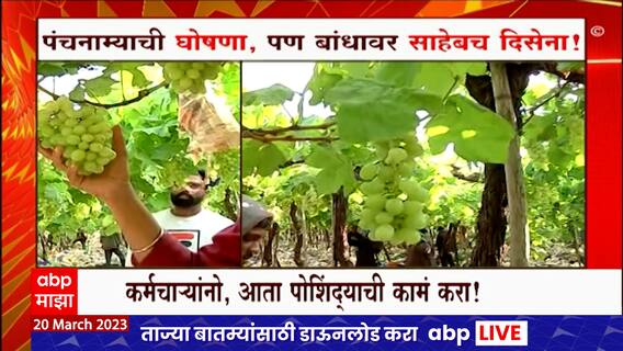 Nandurbar Farmer : अवकाळी पाऊस आणि गारपीटीमुळे नंदुरबार जिल्ह्यात पिकांचं नुकसान : ABP Majha