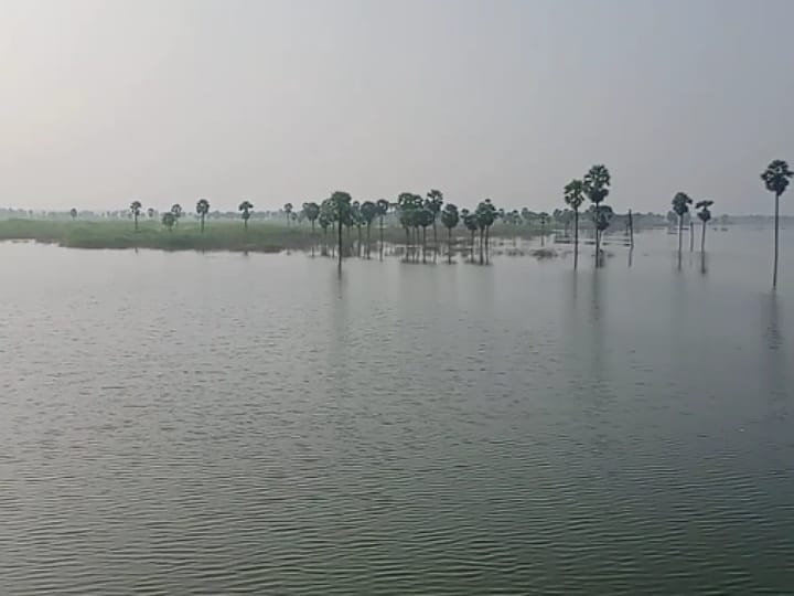 கரூர்: அமராவதி ஆற்றில் நீர் திறப்பு குறைப்பு - வறண்டது செட்டிபாளையம் தடுப்பணை