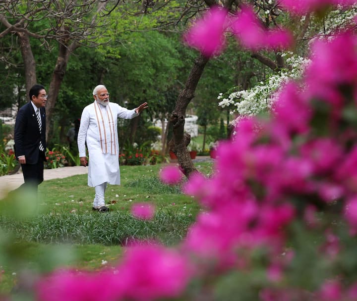 চিনের ক্ষেত্রে ভারত ও জাপান প্রায় একই দিকে রয়েছে। কিন্তু পার্থক্যও রয়েছে, যেমন রাশিয়ার বিরুদ্ধে একাধিক নিষেধাজ্ঞা চাপানোর পক্ষে জাপান, যদিও ভারত তা মনে করে না।