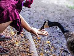 कृपा और कृपया... ज्यादातर लोग इनमें रहते हैं कंफ्यूज! दोनों है अलग-अलग शब्द, पढ़िए दोनोंं का मतलब