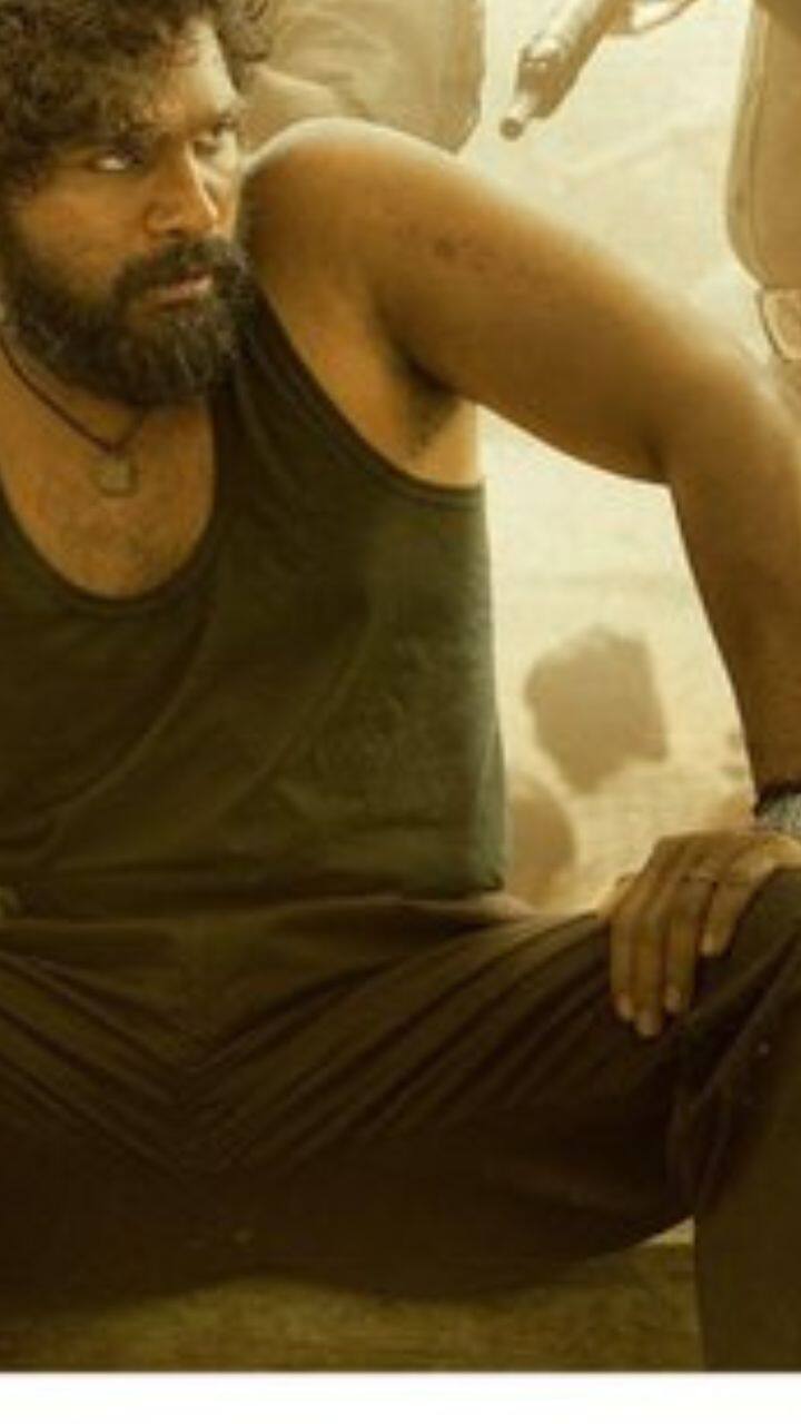 இதன் தொடர்ச்சி கதை, புஷ்பா 2 : தி ரூல் படத்தின் ஷூட் அக்டோபர் 30 ஆம் தேதி தொடங்கியது.