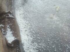 In Photos: बस्तर में आफत की बारिश! सैकड़ों क्विंटल धान खराब, पुलिस कैंप उजड़ा, हजारों एकड़ में फैला फसल बर्बाद