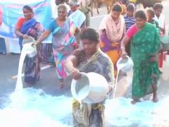 VIDEO: Dairy Farmers In Madurai Empty Milk Containers On Road, Demand Rise In Milk Procurement Price
