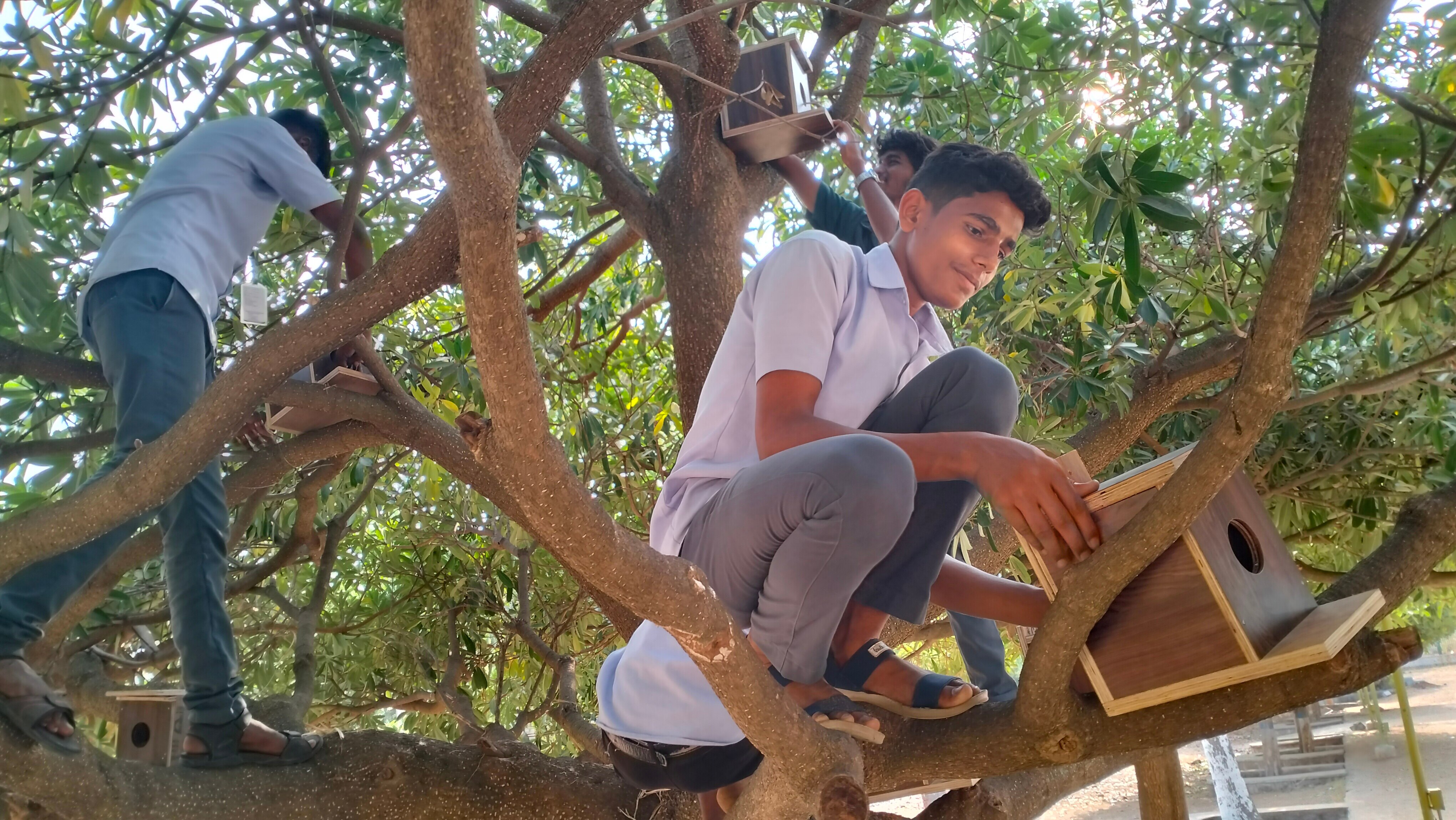 Hari Burung Internasional 2023 Mahasiswa Dharmapuri College membangun sangkar kayu dan menaruh air makanan di atasnya untuk melindungi burung TNN |  Hari Sparrow Sedunia: Kandang di atas palet kayu untuk melindungi burung