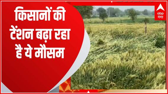 यूपी के कई जिलों में भारी बारिश से किसानों की फसलें बर्बाद