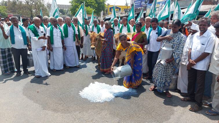 Milk Procurement Price TN Farmers Association warned TN Govt about Statewide Protest TNN Milk Procurement Price: பால்கொள்முதல் விலையை உயர்த்தி வழங்காவிட்டால் மாநிலம் தழுவிய ஆர்ப்பாட்டம் - தமிழக விவசாயிகள் சங்கம் எச்சரிக்கை