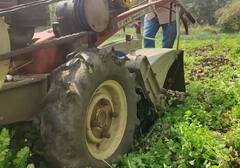 Agriculture News: વલસાડમાં ખેડૂતે શાકભાજીના યોગ્ય ભાવ ન મળતાં પાક પર ફેરવ્યું ટ્રેક્ટર, જાણો વિગત