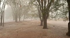 In Photos: बस्तर में आफत की बारिश! सैकड़ों क्विंटल धान खराब, पुलिस कैंप उजड़ा, हजारों एकड़ में फैला फसल बर्बाद