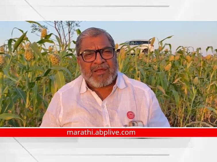 raju shetti upset over due to government workers strike impact on farmers panchanama Maharashtra फळबागा गेल्या, भाजीपाला सगळा वाहून गेला, पंचनाम्याअभावी आमच्या संसारावर आता वरंवटा फिरू दे का? राजू शेट्टींची विचारणा