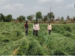 Photo : मराठवाड्यात केवळ 2 टक्के पंचनामे, संपाचा  शेतकऱ्यांना फटका