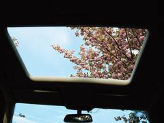 Sunroof Care Tips: अगर आपके पास सनरूफ कार है, तो ये टिप्स फॉलो कर लीजिये या फिर जेब ढीली करने की तैयारी कर लीजिये