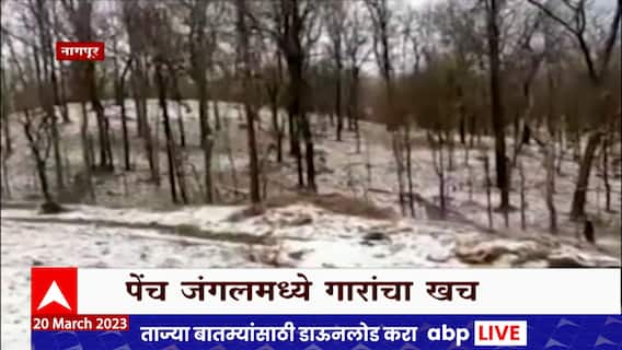 Nagpur Pench Forest : हे काश्मिर नाही! ही दृश्य आहेत नागपूरची, पेंच जंगला मोठ्याप्रमाणात गारपीट