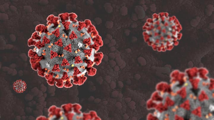 Coronavirus Cases in India : देशात पुन्हा एकदा कोरोना संसर्गामुळे चिंता वाढली आहे. कोरोना रुग्णांमध्ये सातत्याने वाढ होताना दिसत आहे.