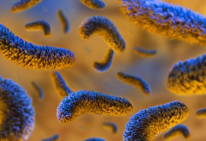 या व्यक्तीचा मृत्यू मांस खाणाऱ्या बॅक्टेरियामुळे झाल्याचे डॉक्टरांनी सांगितलं. वैद्यकीय भाषेत या विषाणूला नेक्रोटाइझिंग फॅसिटायटिस म्हणतात.