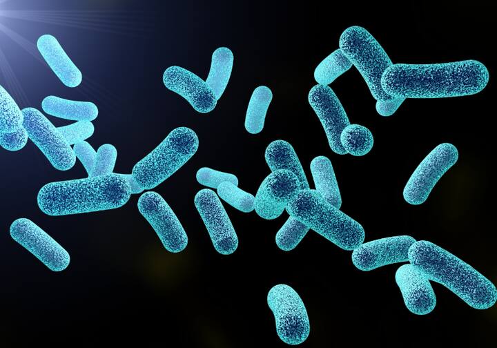 मुलाला ज्या ठिकाणी दुखापत झाली, तिथे आधी गडद तपकिरी रंगाचा व्रण तयार झाला. कालांतराने याचा रंग जांभळा आणि नंतर लाल रंगात बदलला. या मुलाच्या पालकांना दुखापत अधिक गंभीर झाल्याचं समजलं आणि त्यांनी मुलाला रुग्णालयात नेलं.