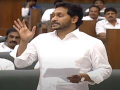 आंध्र प्रदेश: फाइट क्लब में बदला सदन, TDP और YSRC के विधायकों में हाथापाई