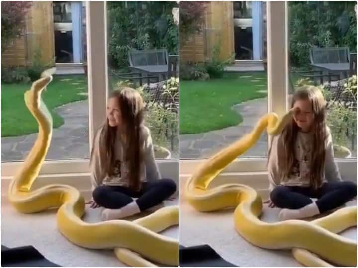 Snake Video little girl is seen playing with giant python in viral ...