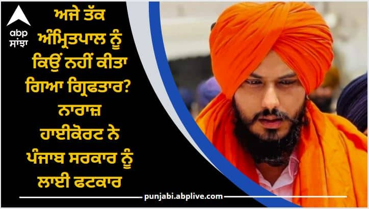 amritpal singh operation punjab haryana high court reprimanded punjab government Operation Amritpal:  ਅੰਮ੍ਰਿਤਪਾਲ ਦੀ ਗ੍ਰਿਫਤਾਰੀ 'ਤੇ ਸਵਾਲ, ਹਾਈਕੋਰਟ ਨੇ ਪੰਜਾਬ ਸਰਕਾਰ ਤੋਂ ਪੁੱਛਿਆ, 80 ਹਜ਼ਾਰ ਪੁਲਿਸ ਮੁਲਾਜ਼ਮ ਕੀ ਕਰ ਰਹੇ?