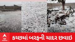 Kutch Snofall : કાશ્મીરની જેમ કચ્છમાં કરા સાથે વરસાદ પછી રોડ પર છવાઇ બરફની ચાદર, જુઓ વીડિયો