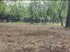 मुजफ्फरनगर: बेमौसम बरसात और ओलावृष्टि किसानों के लिए बनी अभिशाप, कई फसल पूरी तरह बर्बाद