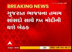 Loksabha Election 2024 : આગામી લોકસભાની ચૂંટણીને લઈ PM મોદીની ગુજરાતના તમામ સાંસદો સાથે બેઠક