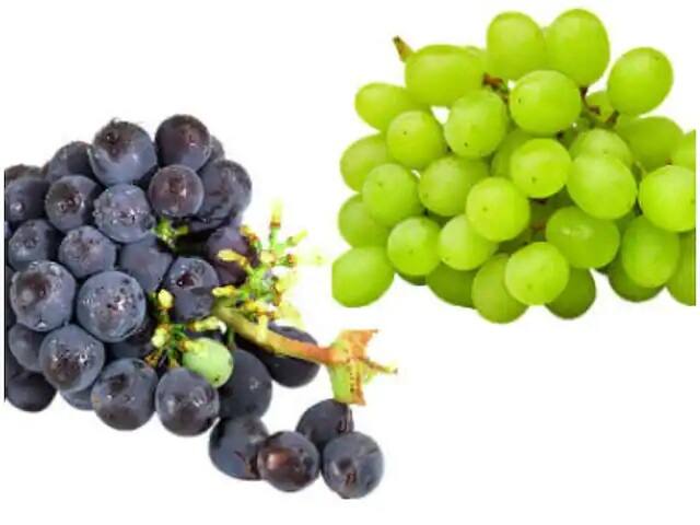 Do you know why black grapes cost more than green grapes? This is the reason શું તમે જાણો છો કે લીલી દ્રાક્ષ કરતાં કાળી દ્રાક્ષ કેમ હોય છે મોંઘી? આ છે કારણ