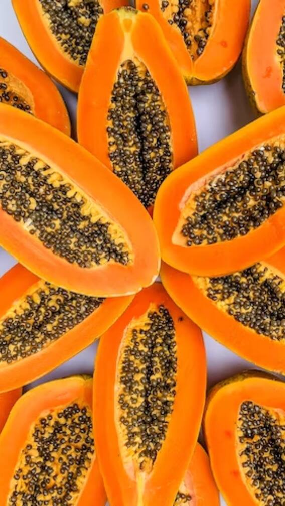 अवकाळी पाऊस आणि गारपिटीचा फटका पपई उत्पादक शेतकऱ्यांना