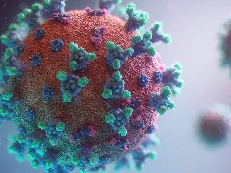 Rise in H3N2 and Covid-19 cases: What is the difference between the two respiratory viruses doctors advise Flu and Corona : அச்சுறுத்தும் இன்ஃப்ளூயன்சா - கொரோனா.. இரண்டுக்கும் உள்ள வேறுபாடுகள் என்ன? எப்படி காத்துக்கொள்வது..?