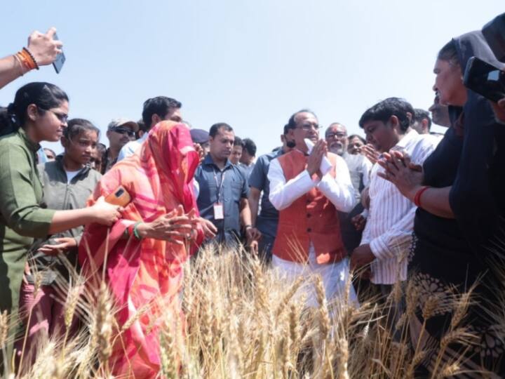 Shivraj Singh Chouhan announced government will compensate for damage caused by unseasonal rains in MP ann MP News: 50 प्रतिशत फसल नुकसान पर 32 हजार रुपये एकड़ देगी सरकार, CM शिवराज का एलान