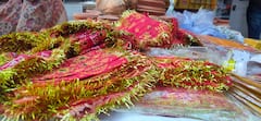 Chaitra Navratri: नवरात्र पर्व के पहले दिल्ली के बाजारों में रौनक, बढ़ गए इन सामानों के दाम