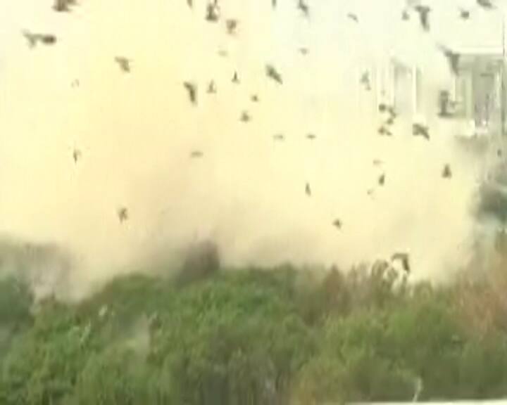 આ ટાવર 2017માં ભંગાર જાહેર કર્યા હતો. ટાવરને જમીન દોસ્ત થતાં માત્ર 7 સેકંડ લાગી હતી.