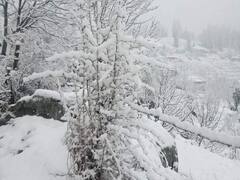 Himachal Pradesh: हिमाचल में बारिश और बर्फबारी से और बढ़ी ठंड, जन जीवन अस्त-व्यस्त, तस्वीरों में देखें हालात