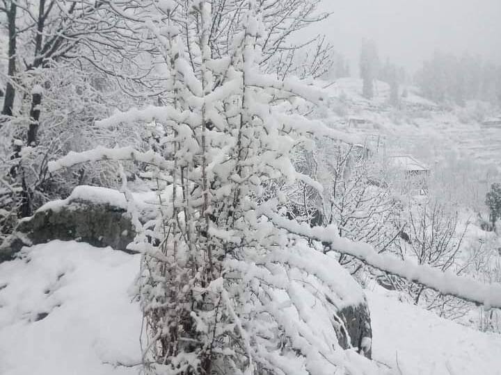 राज्य के मैदानी भागों में भी बारिश हुई है, जबकि उच्च पर्वतीय इलाकों में रुक-रुक कर हिमपात हो रहा है. मौसम विभाग ने मैदानी क्षेत्रों में 23 व 24 मार्च को भी बारिश व ओलावृष्टि का येलो अलर्ट जारी किया है. इसी बीच शिमला, कुफरी, नारकंडा और खड़ा पत्थर सहित ऊंचाई वाले इलाकों में बर्फबारी हुई है.