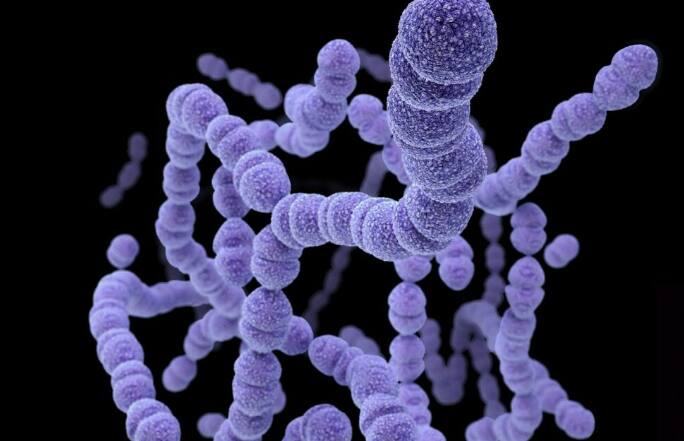 Dangerous Flesh Eating Bacteria : अमेरिकेमध्ये शरीरावरील जखमेतून एका मुलाच्या शरीरामध्ये बॅक्टेरिया शिरला. हा जीवाणू इतका प्राणघातक होता की या बॅक्टेरियानं मुलाचं शरीर आतून पूर्णपणे कुरतडलं आणि यामुळे अखेरिस या मुलाचा मृत्यू झाला.