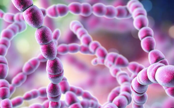 दरम्यान, भारतातही काही वर्षांपूर्वी याच संसर्गामुळे एका रुग्णाचा मृत्यू झाला होता. कोलकाता येथील आर जी कर मेडिकल कॉलेज आणि हॉस्पिटलमध्ये या संसर्गामुळे 44 वर्षीय व्यक्तीचा मृत्यू झाला होता.